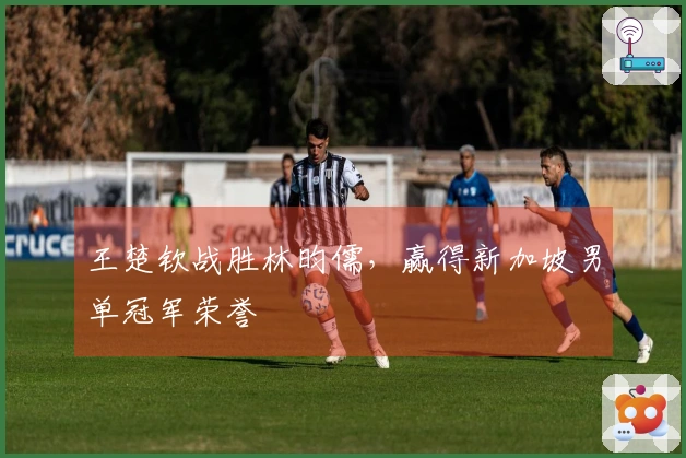 王楚钦战胜林昀儒，赢得新加坡男单冠军荣誉